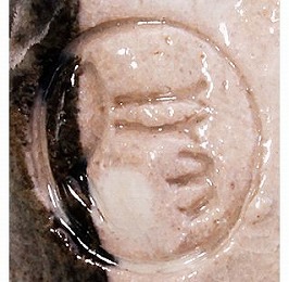 金重素山