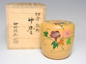 中村湖彩