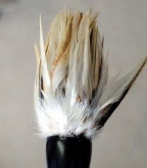 鶏毛筆