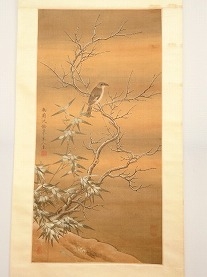 沈南蘋