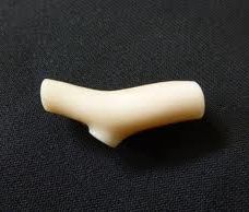 白珊瑚・シロサンゴ