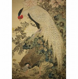 牡丹に鶏
