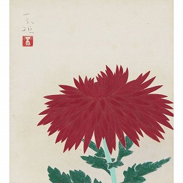 菊