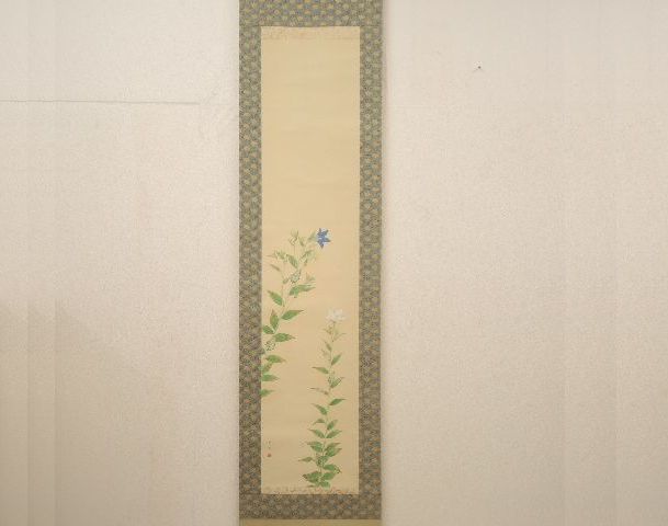 掛軸 上村松篁「桔梗」