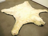 シロクマ 剥製 ラグマット