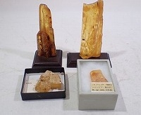 琥珀4点 虫入り琥珀含